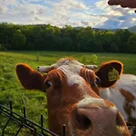 Дом отдыха Zacisze W Karkonoszach Карпач