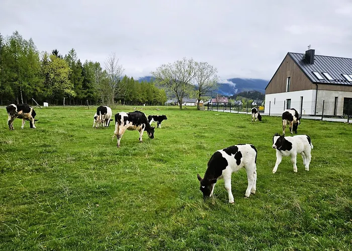 Zacisze W Karkonoszach Карпач