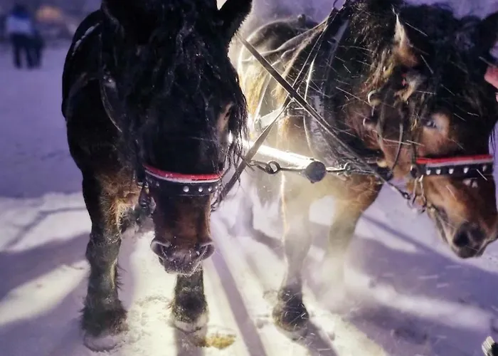 Zacisze W Karkonoszach Дом отдыха *