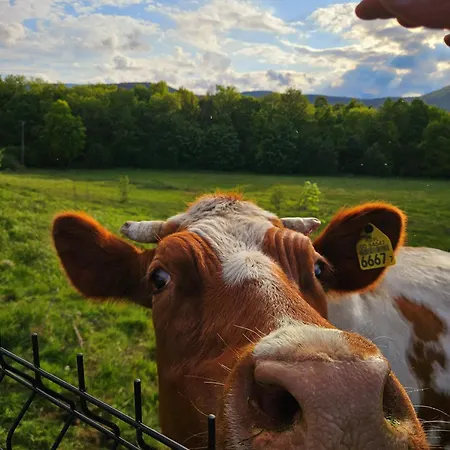 Σπίτι διακοπών Zacisze W Karkonoszach Karpacz
