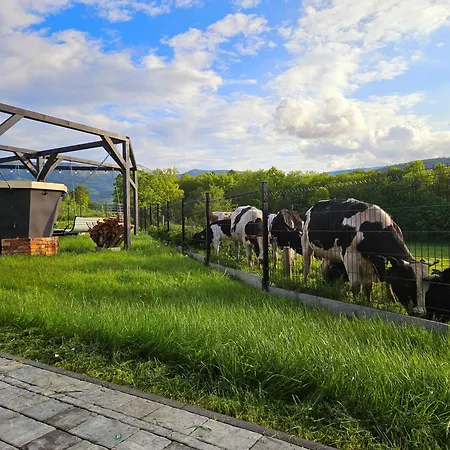 Zacisze W Karkonoszach Karpacz