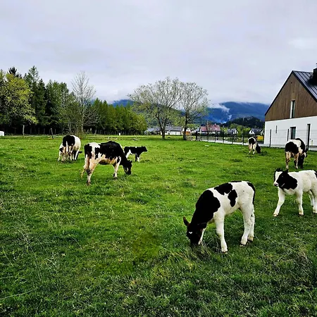 Zacisze W Karkonoszach Casa de Férias Karpacz