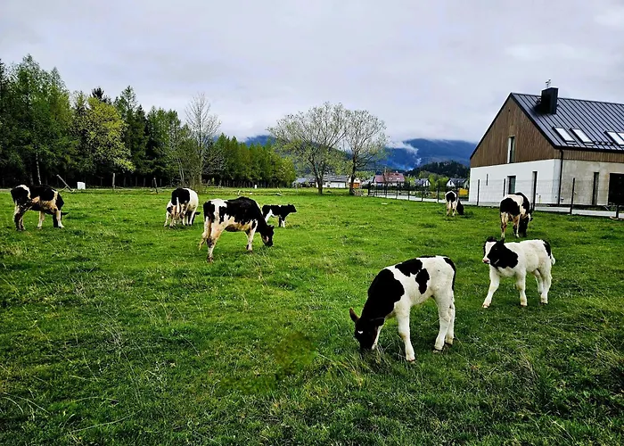 Zacisze W Karkonoszach Casa de Férias Karpacz